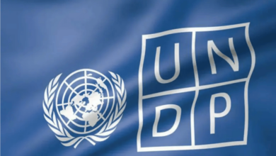 UNDP Hiring A Procurement Support Analyst To Work In New York, United States 2024. Apply Now