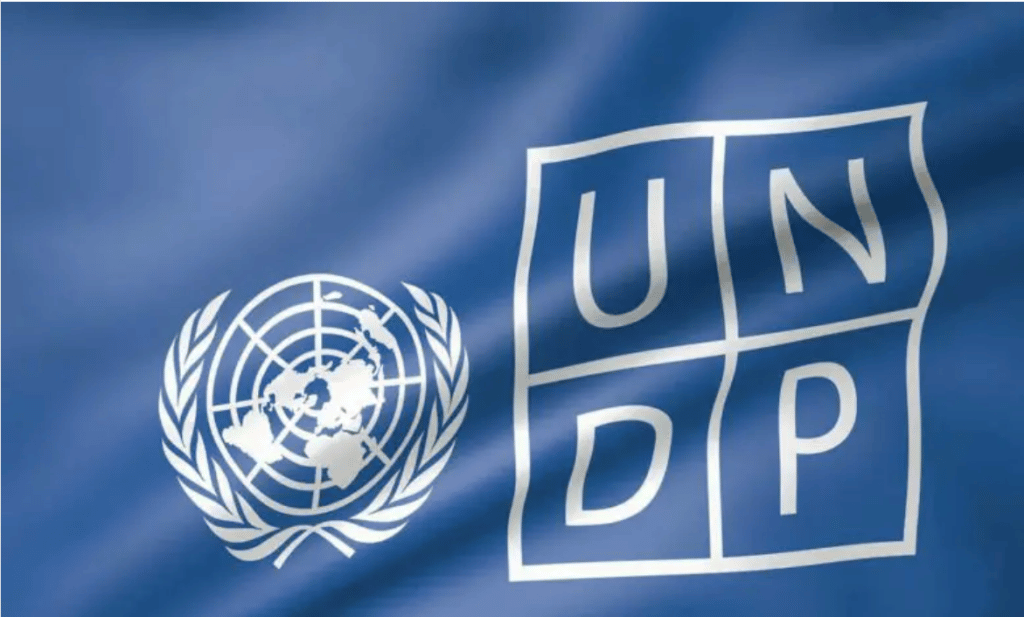 UNDP Hiring A Procurement Support Analyst To Work In New York, United States 2024. Apply Now