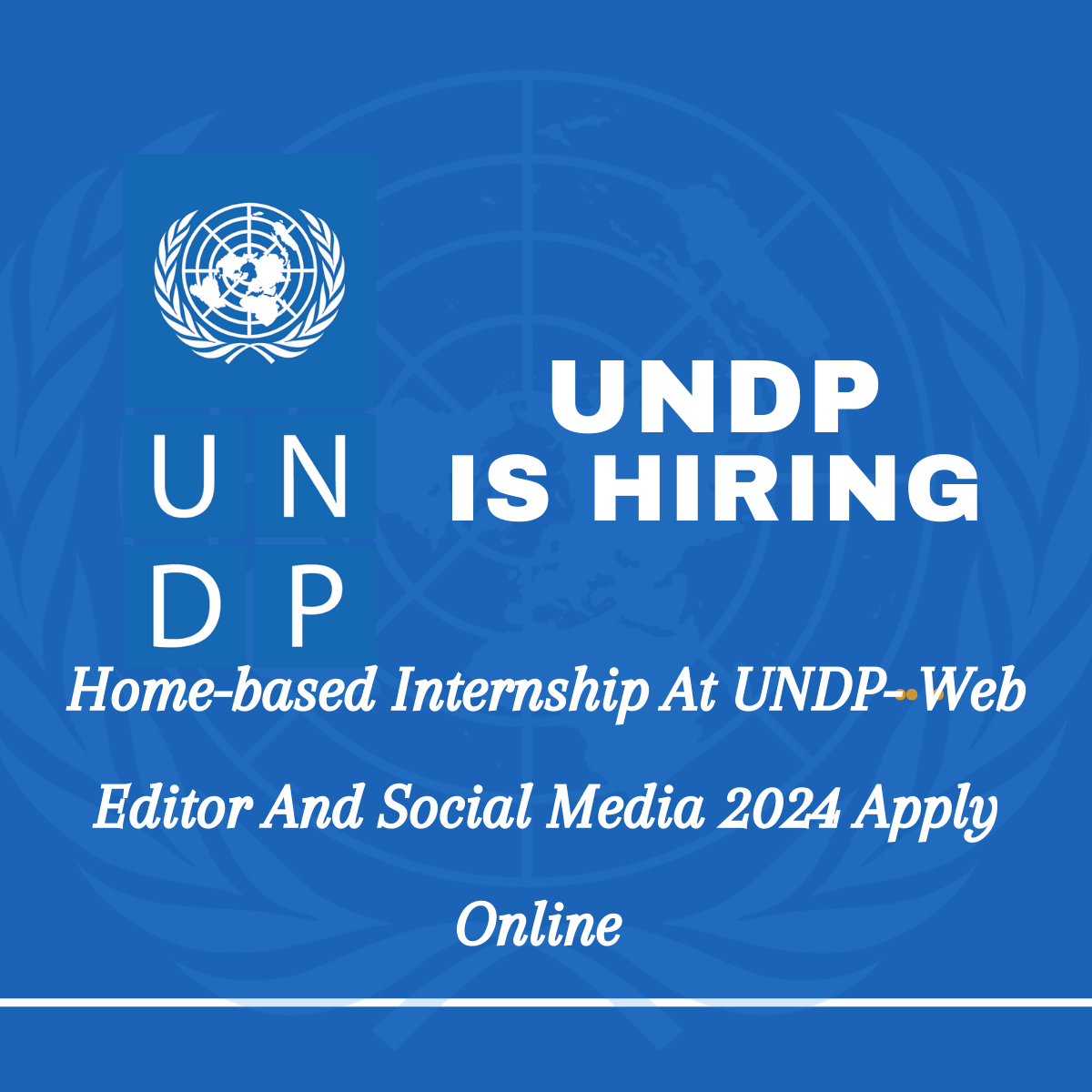 Home-based Internship At UNDP- Web Editor And Social Media 2024 Apply Online