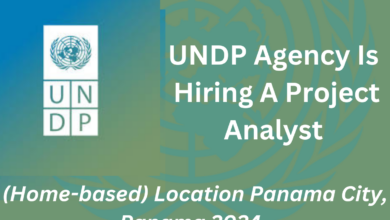 UNDP Agency Is Hiring A Project Analyst (Home-based) Location Panama City, Panama 2024 Apply Online