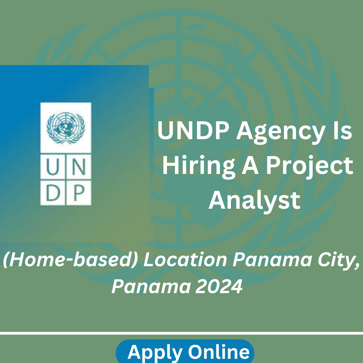 UNDP Agency Is Hiring A Project Analyst (Home-based) Location Panama City, Panama 2024 Apply Online