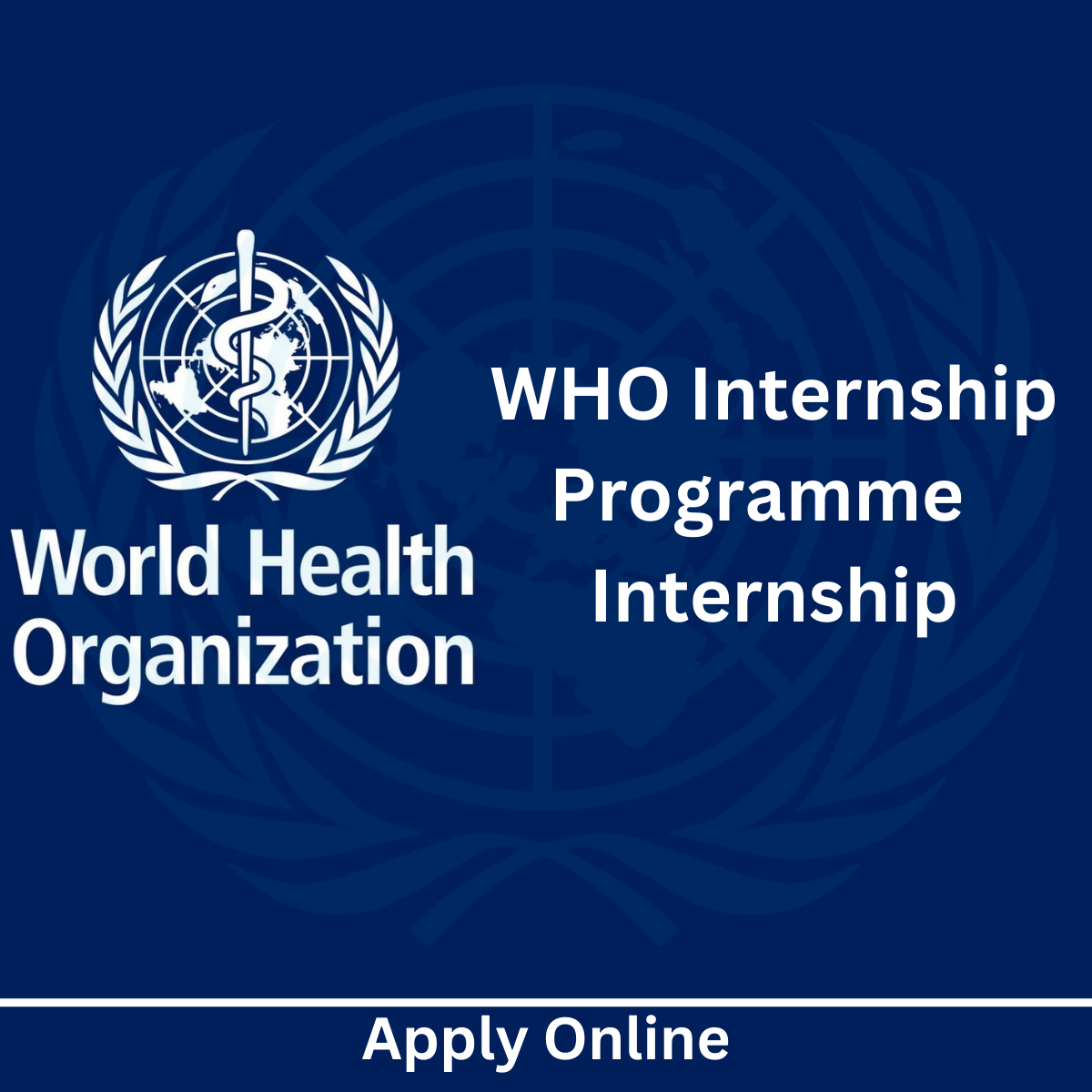 Approved WHO Internship Programme | Internship Positions Are Available In Various Areas Of Work 2024 |Apply Online