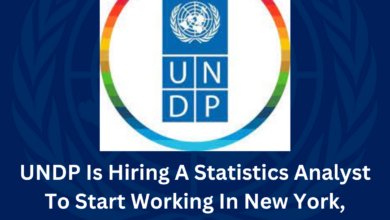 UNDP Is Hiring A Statistics Analyst To Start Working In New York, United States 2024 Apply Online