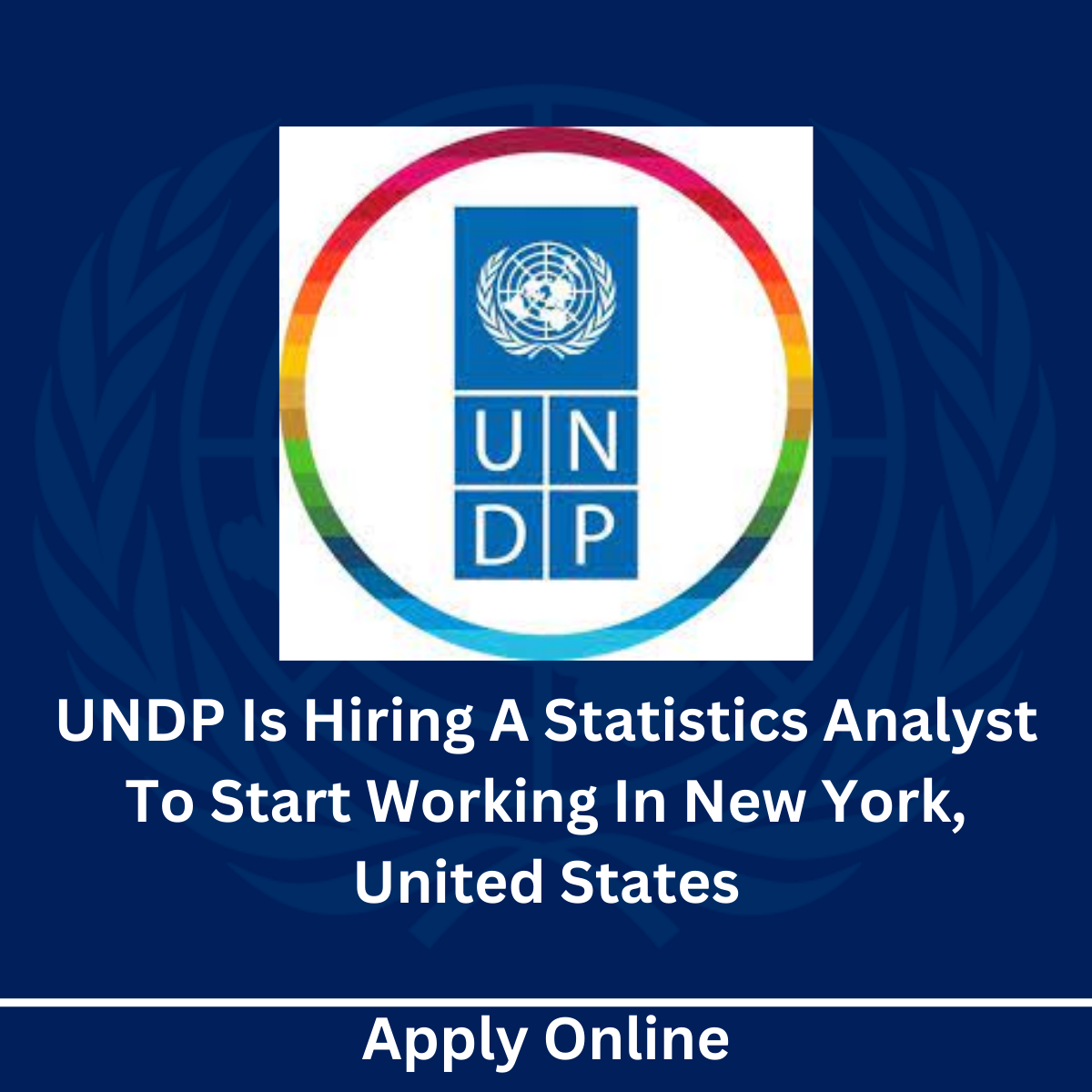 UNDP Is Hiring A Statistics Analyst To Start Working In New York, United States 2024 Apply Online