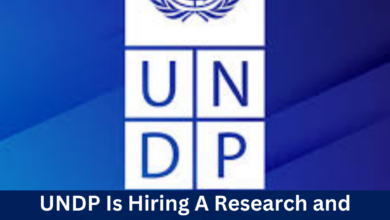 UNDP Is Hiring A Research and Programme Analyst | Home-based, TURKEY 2024 Apply Now!!