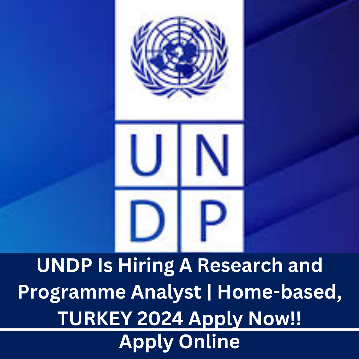 UNDP Is Hiring A Research and Programme Analyst | Home-based, TURKEY 2024 Apply Now!!