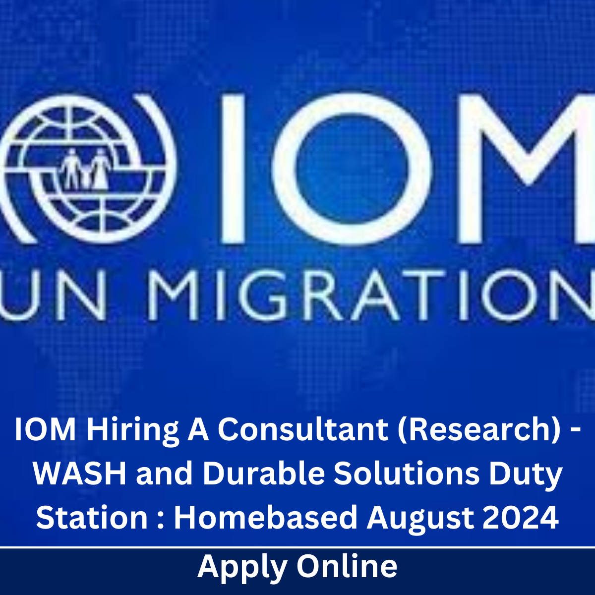 IOM Hiring A Consultant (Research) - WASH and Durable Solutions Duty Station : Homebased| Closing Date : 07 August 2024