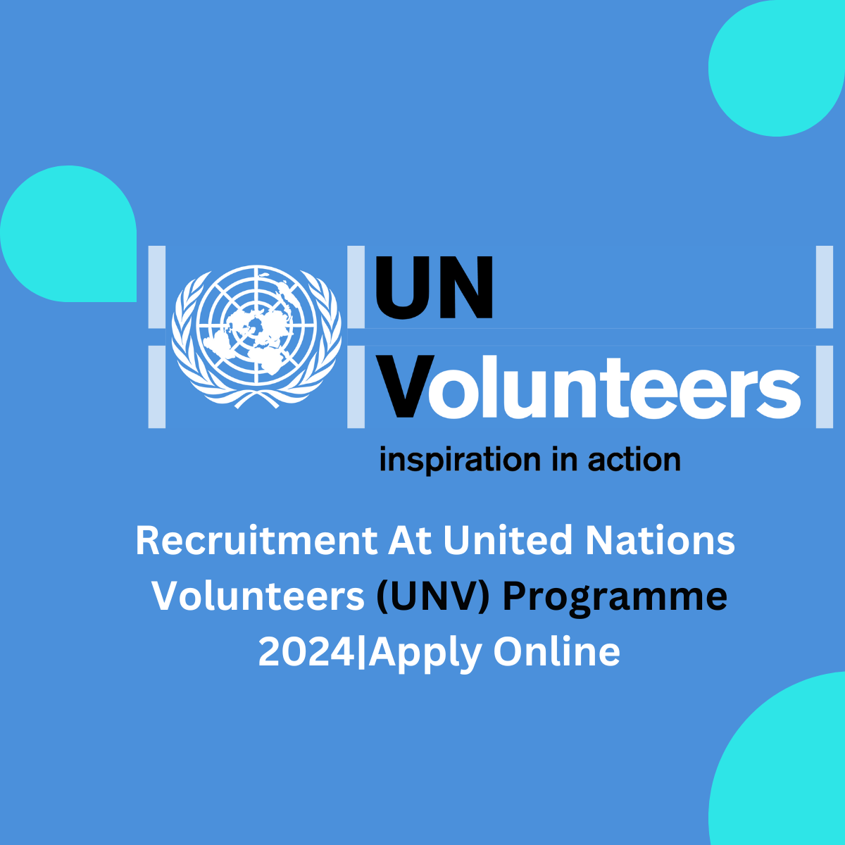 Volunteer Opportunities Around The World | Recruitment At United Nations Volunteers (UNV) Programme 2024|Apply Online