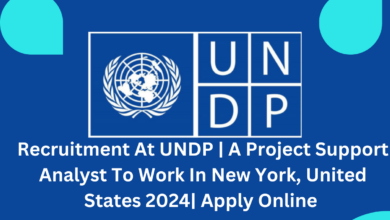 Recruitment At UNDP | A Project Support Analyst To Work In New York, United States 2024| Apply Online