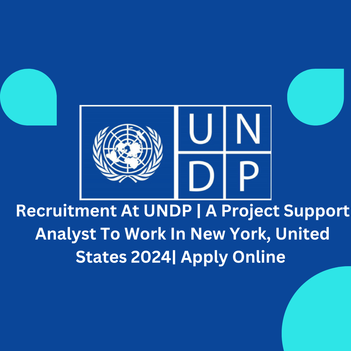 Recruitment At UNDP | A Project Support Analyst To Work In New York, United States 2024| Apply Online