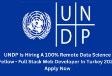 UNDP Is Hiring A 100% Remote Data Science Fellow - Full Stack Web Developer In Turkey 2024| Apply Now