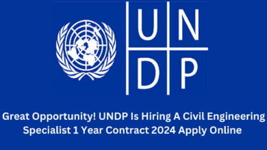 Great Opportunity! UNDP Is Hiring A Civil Engineering Specialist 1 Year Contract 2024 Apply Online