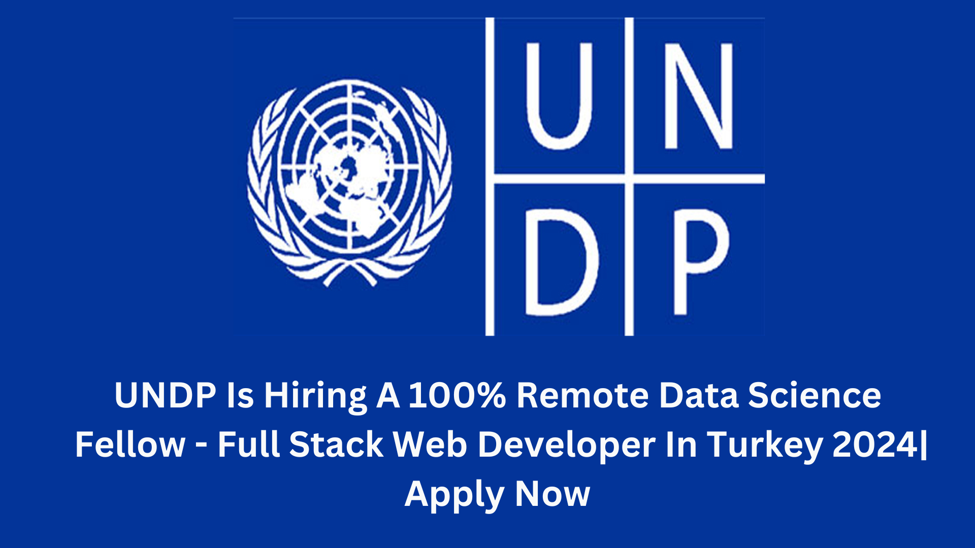 UNDP Is Hiring A 100% Remote Data Science Fellow - Full Stack Web Developer In Turkey 2024| Apply Now