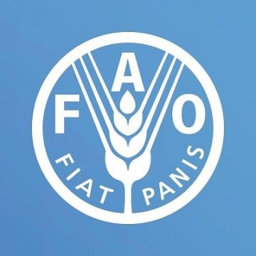 Vacancy Announcement At FAO| Office Assistant 2024 Apply Online