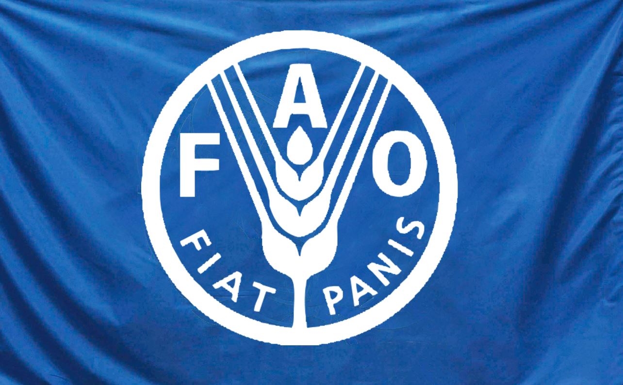 Approved Employment Opportunity At FAO Apply On Official Site 2024