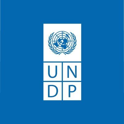 Internship Opportunity! Multiple Positions At UNDP Remote Work , UNITED STATES OF AMERICA 2024 Apply Online