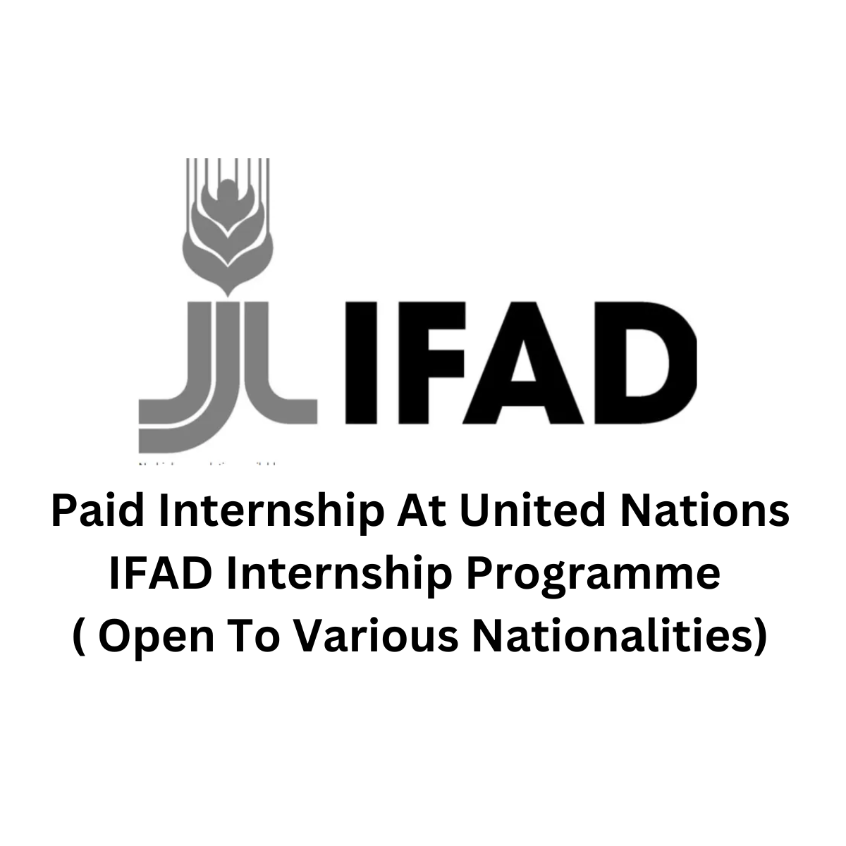 Paid Internship At United Nations IFAD Internship Programme ( Open To ...