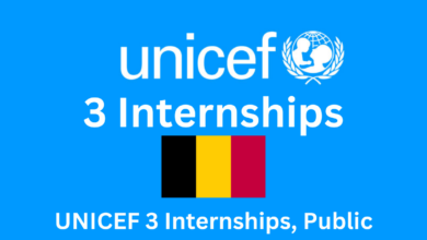 UNICEF 3 Internships, Public Partnerships Division (PPD) Brussels, Belgium| Apply Online