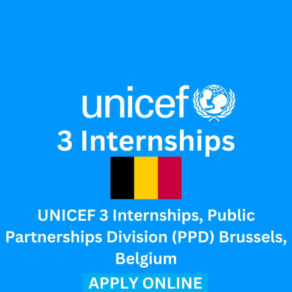 UNICEF 3 Internships, Public Partnerships Division (PPD) Brussels, Belgium| Apply Online