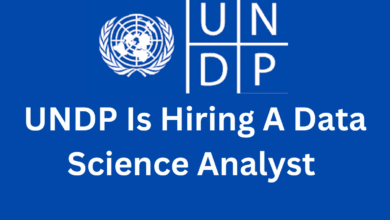 UNDP Is A Hiring A Data Science Analyst In  Istanbul, Türkiye 2024 National Position Apply Online