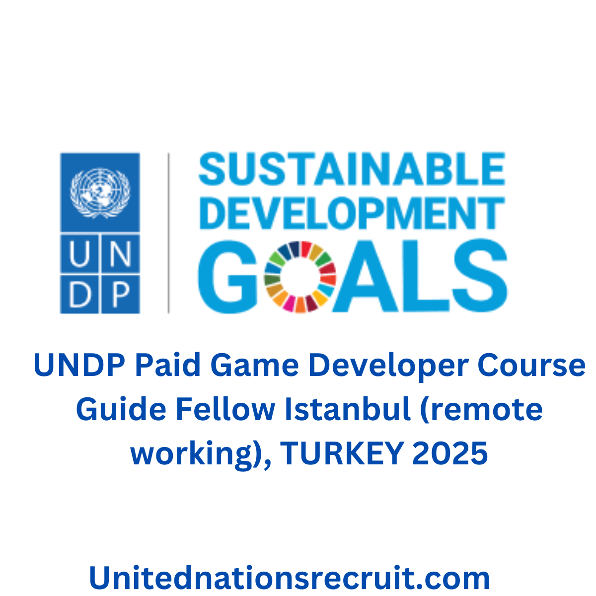 UNDP Paid Game Developer Course Guide Fellow Istanbul (remote working), TURKEY 2025