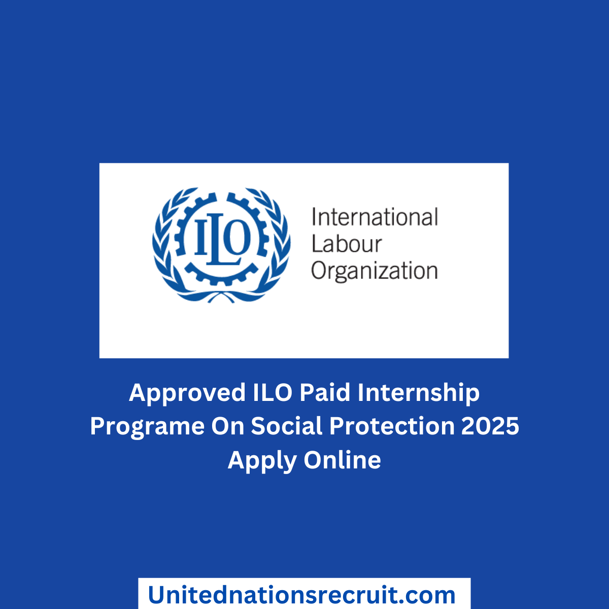 Approved ILO Paid Internship Programe On Social Protection 2025 Apply Online