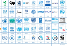 UN Careers for Recent Graduates: Entry-Level Opportunities to Consider