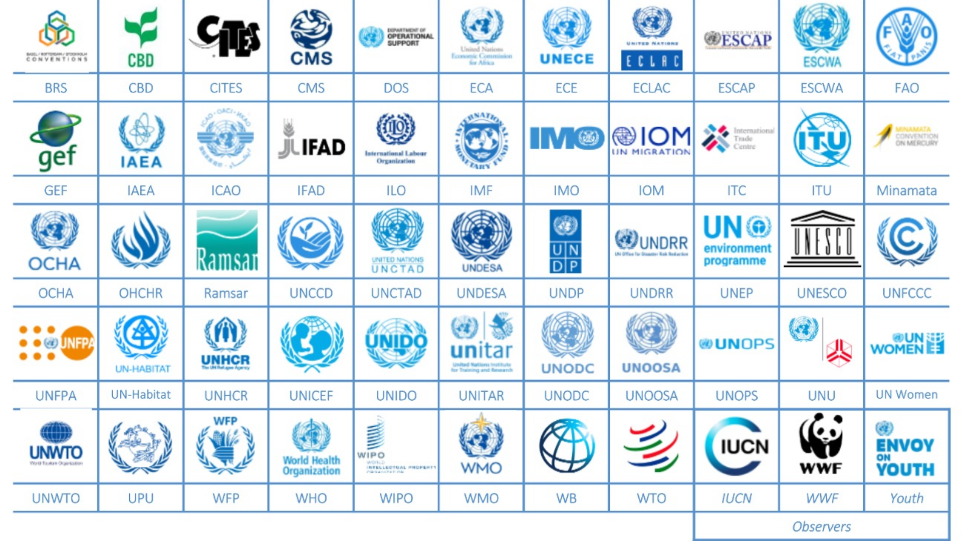 UN Careers for Recent Graduates: Entry-Level Opportunities to Consider