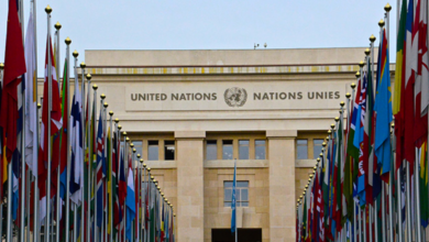 3 Things to Consider Before Accepting an Internship at the United Nations(UN) In 2025.