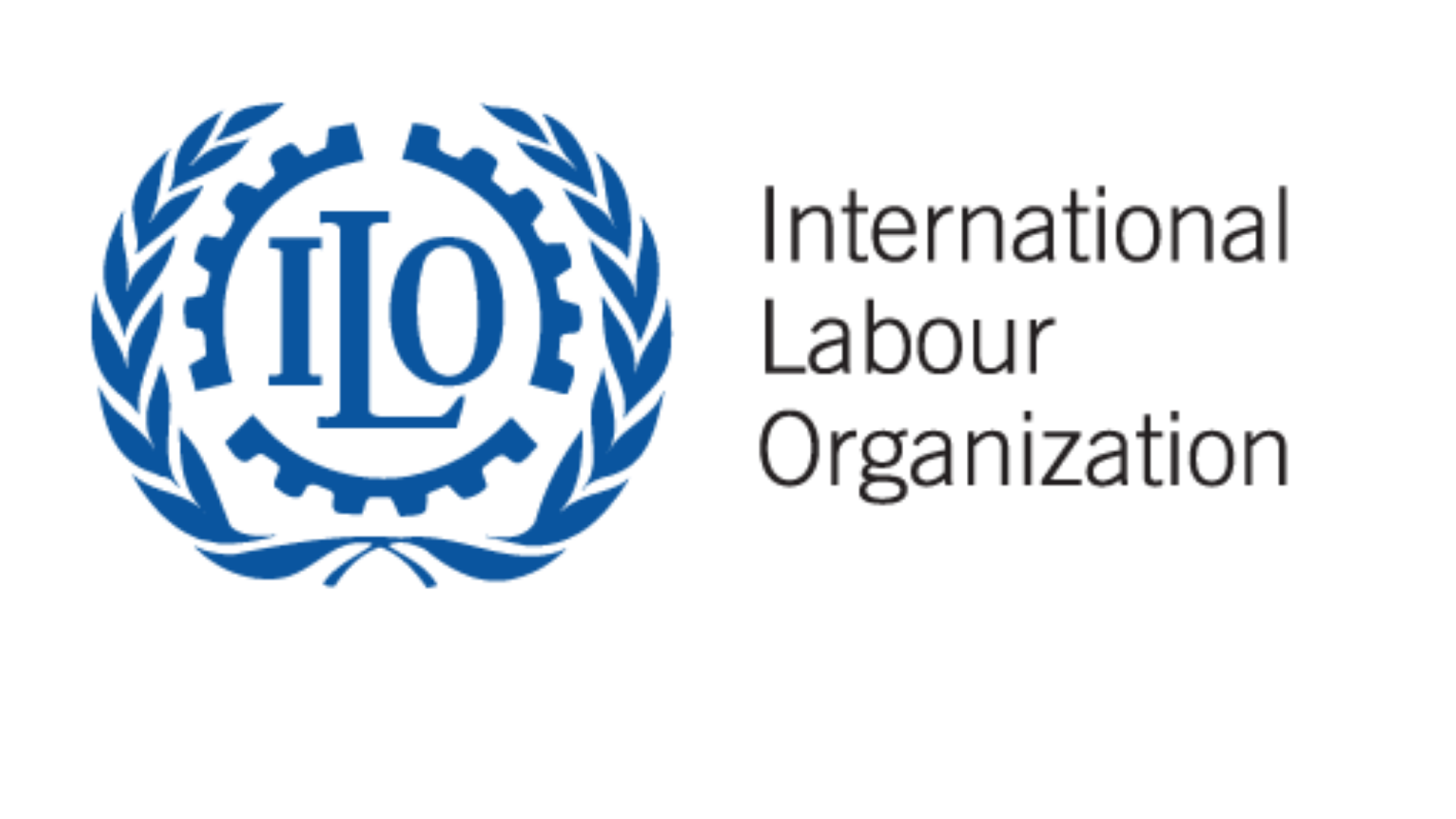 ILO Internship Programme