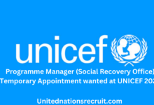 Programme Manager (Social Recovery Office), Temporary Appointment wanted at UNICEF 2025.