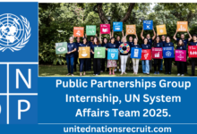 Public Partnerships Group Internship, UN System Affairs Team 2025.