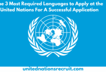 The 3 Most Required Languages to Apply at the United Nations For A Successful Application