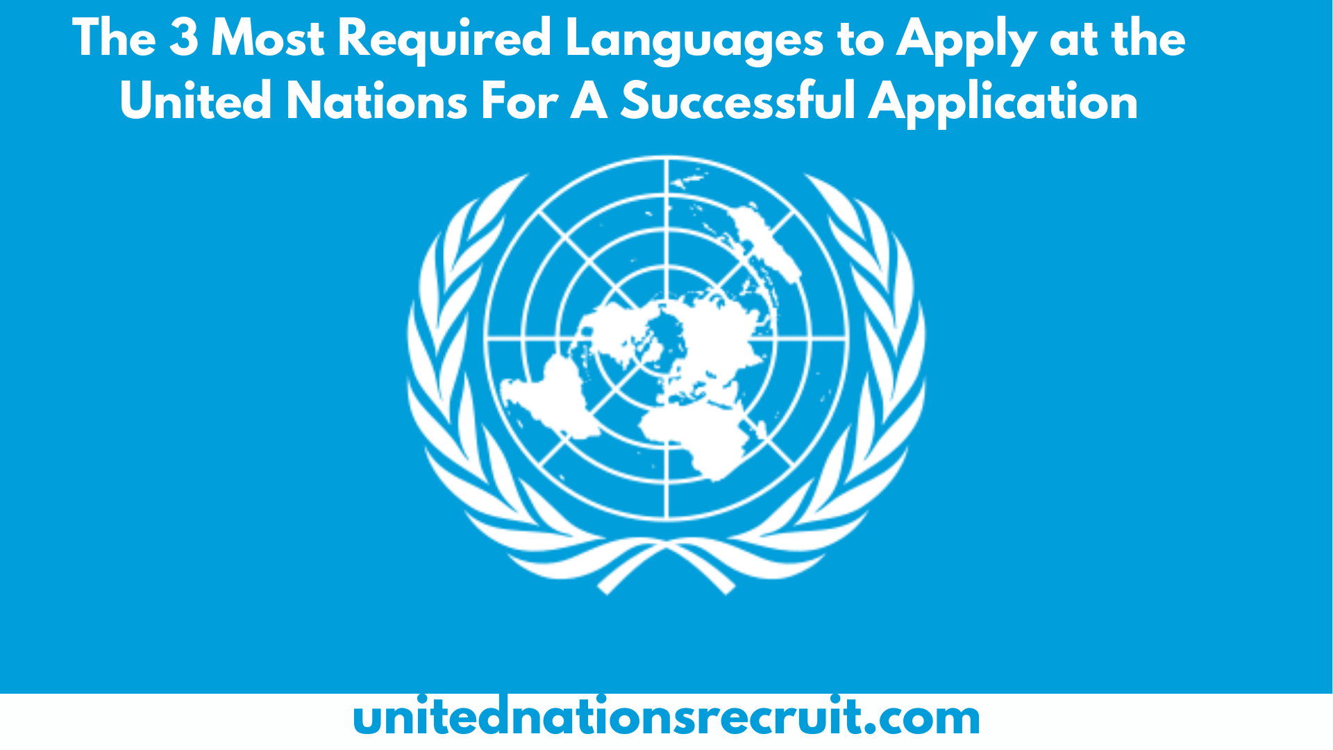 The 3 Most Required Languages to Apply at the United Nations For A Successful Application