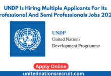 UNDP Is Hiring Multiple Applicants For Its Professional And Semi Professionals Jobs 2025