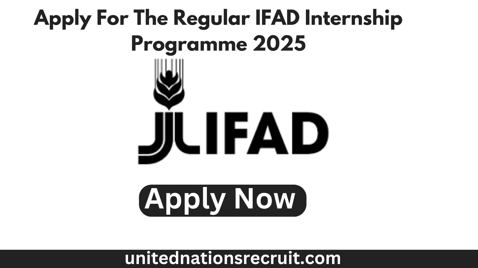 Apply For The Regular IFAD Internship Programme 2025