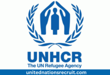 Explore The Various Job Vacancies At The UNHCR For Both External and Internal Applicants in 2025