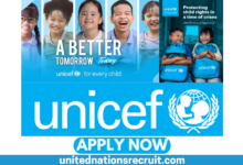 Explore Executive Management Careers And Talent Programmes At UNICEF 2025.