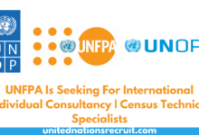 UNFPA Is Seeking For International Individual Consultancy | Census Technical Specialists