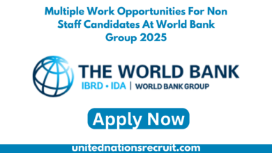 Multiple Work Opportunities For Non Staff Candidates At World Bank Group 2025