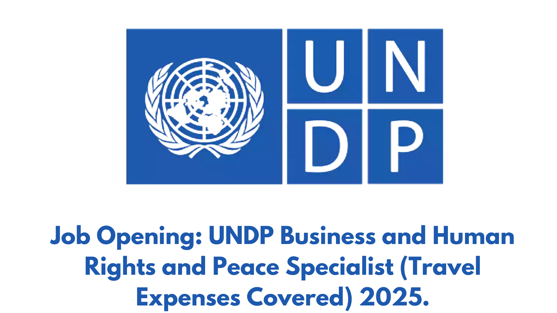 Job Opening: UNDP Business and Human Rights and Peace Specialist (Travel Expenses Covered) 2025.