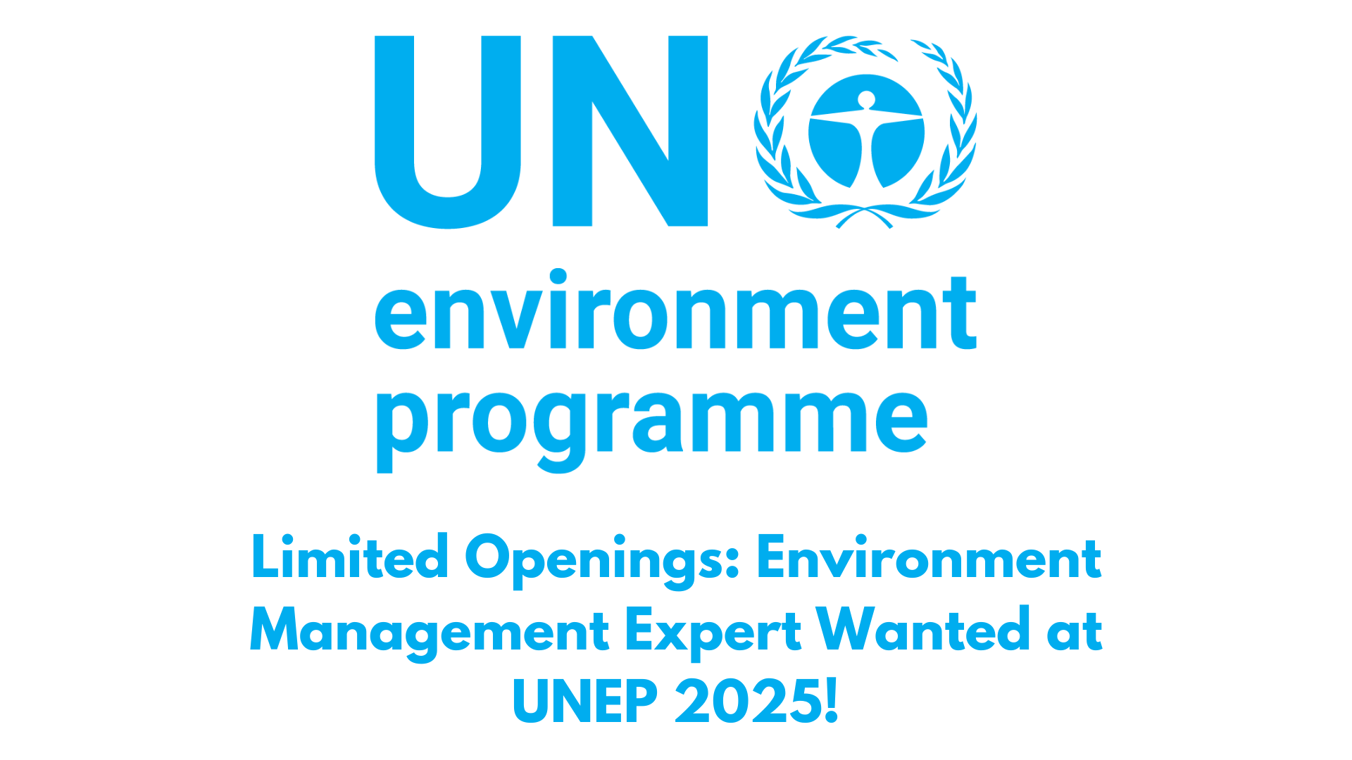 Limited Openings: Environment Management Expert Wanted at UNEP 2025!