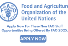 Apply Now For These Non FAO Staff Opportunities Being Offered By FAO 2025.