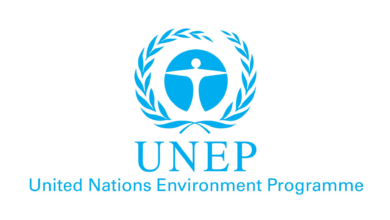 UNEP Internship Programme