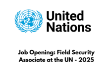 Job Opening: Field Security Associate at the UN - 2025