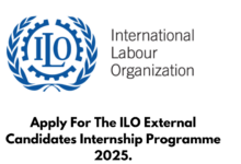 Apply For The ILO External Candidates Internship Programme 2025.