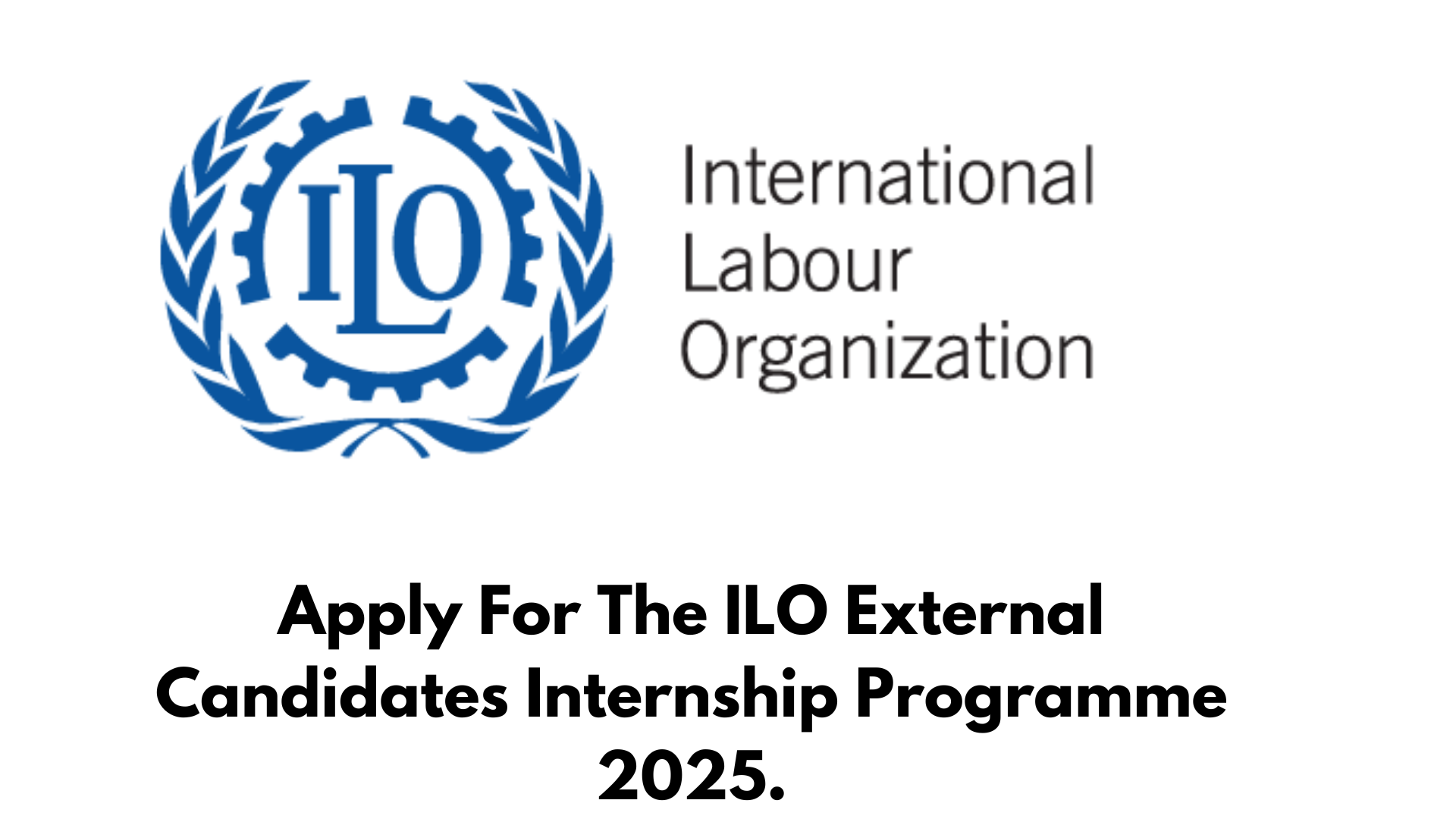 Apply For The ILO External Candidates Internship Programme 2025.