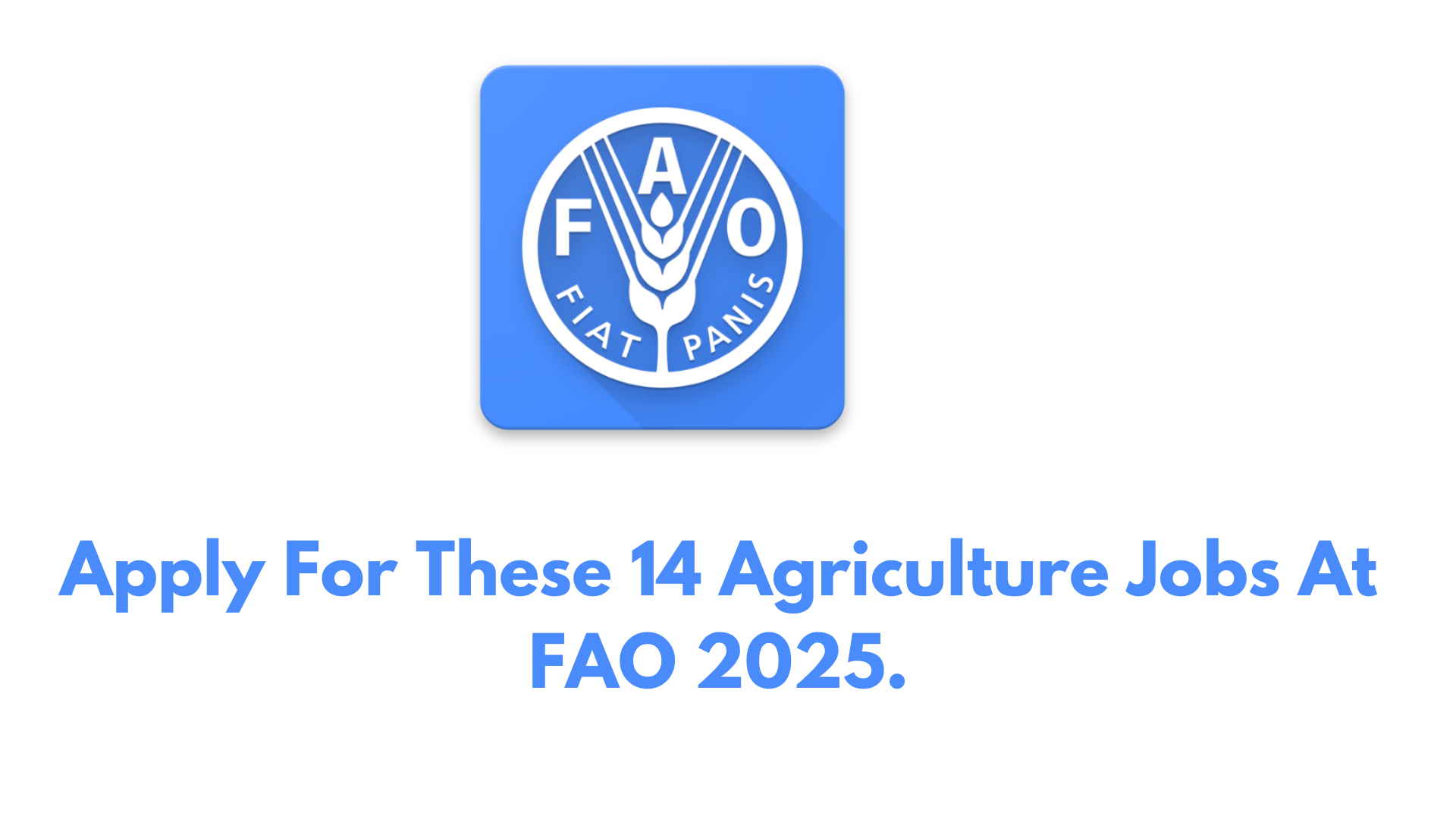 Apply For These 14 Agriculture Jobs At FAO 2025.