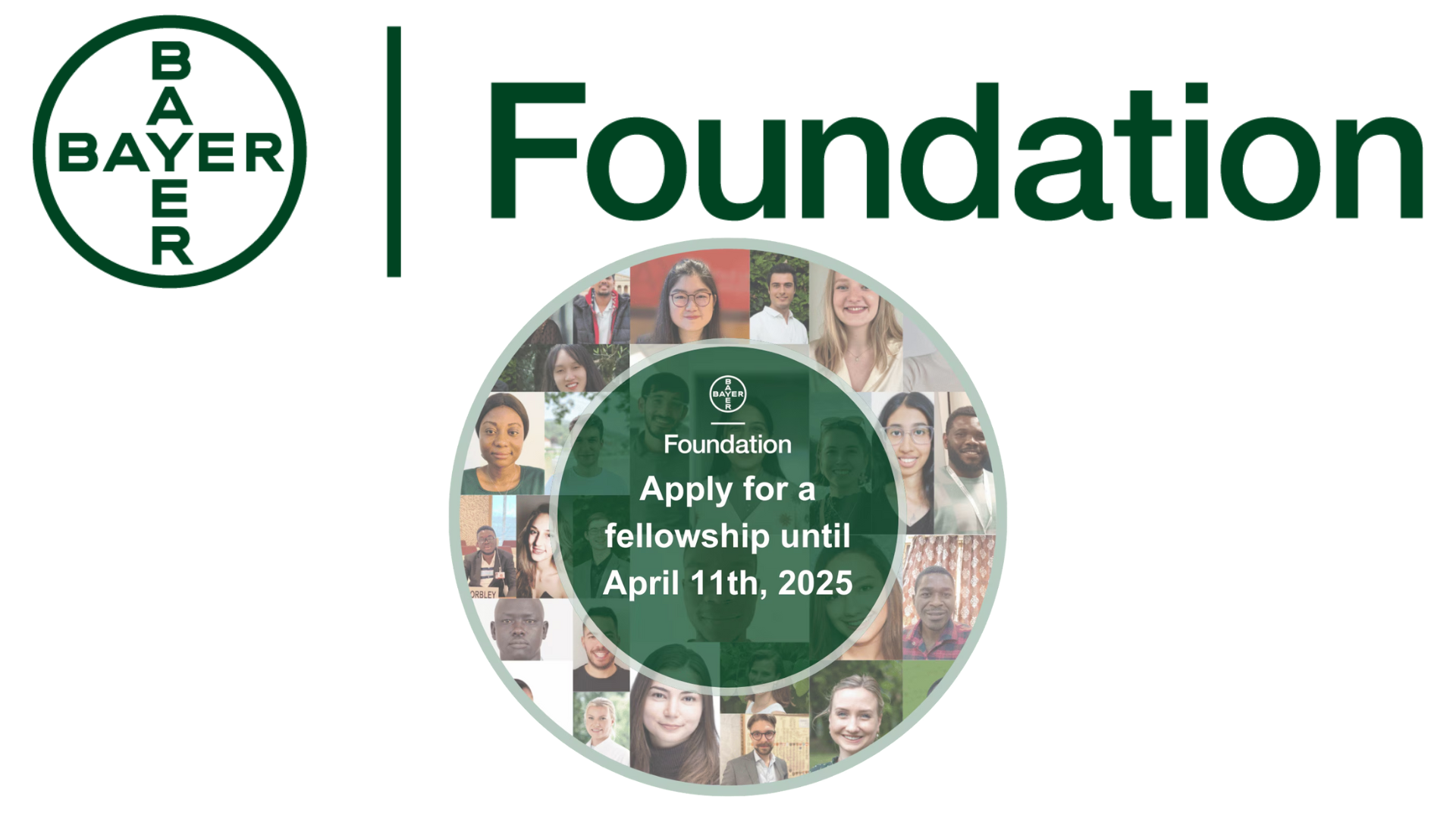 Fellowships($10 000 In Funding): Applications For The Bayer Foundation Fellowships Program 2025 Are Now Open!