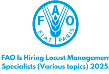 FAO Is Hiring Locust Management Specialists (Various topics) 2025.